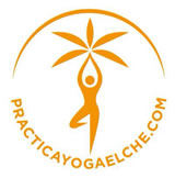 Logo Asociación Practica Yoga Elche